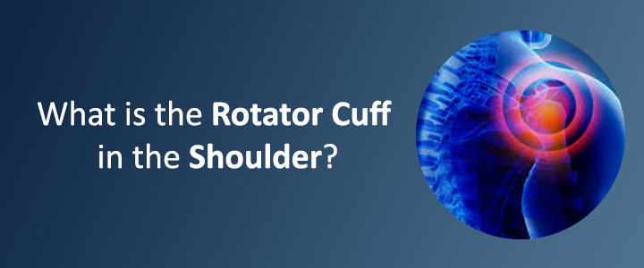 What is the Rotator Cuff in the Shoulder?