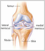 arthroscopic-meniscus-repair